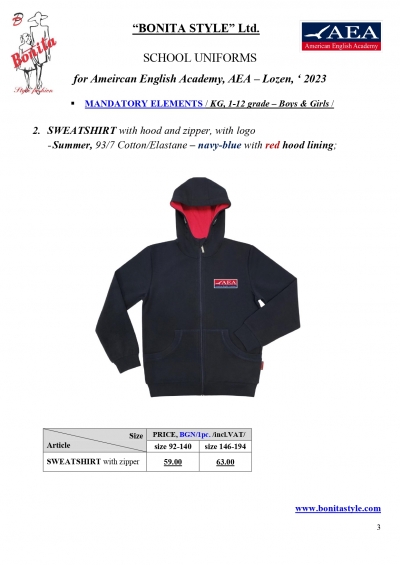 AEA_EN_Page_3