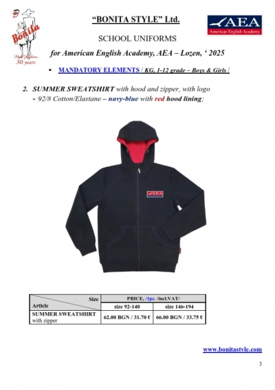 AEA_EN_Page_3